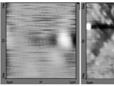 �¹�ˇ���������X�մɒ���