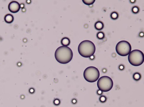 �ƾ֌��ֲ�У�ʣ��������ɇ����װlPSD>2���ֲ����Ș˜����|