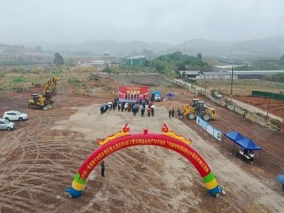 20�f���������@�ׂ�ɫĸ���Ŀ�������M