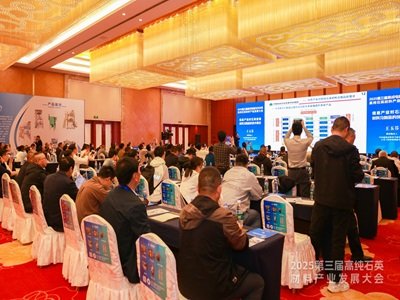 2025�����ü����·������ø߼�ʯӢ���Ϯa�I�lչ���¡���_Ļ