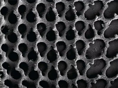 �{��3D��ӡ�����}���մɹ���ֲ����δ��