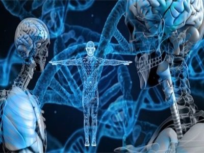 �u���׻�ʯ����������Ĺ��ޏͼ�������ϣ�