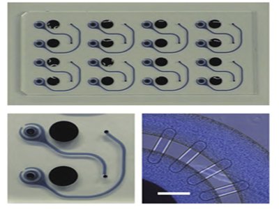 ΢����оƬ�������t�W�I���M�A������ͨ�ף�TGV�����g�����ɛ]