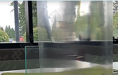 һ���D�˽�{���[������