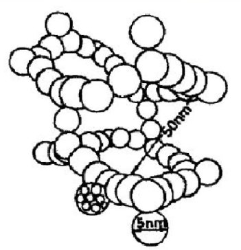 һ���D�˽������������z