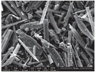 �����ø��Թ��ʯ���Pע�@�ɂ����c��