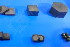 10�N����ʢ���ġ�����塱�ɆT�����������ǲ��Ͻ�Ŀ�����