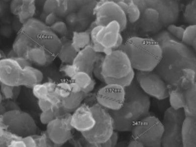 �����F䇉����ܶ������������g·��