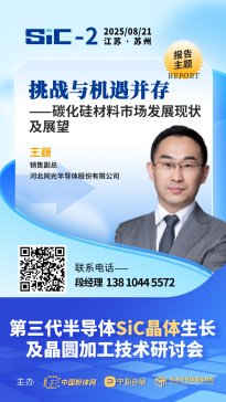 �ӱ�ͬ��댧�w�ɷ����޹�˾�N�۸��������������c�C������ --̼��������Ј��lչ�F�չ������棩