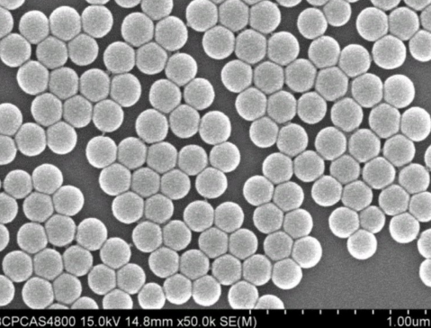 �ƾ��늳ظ�Ĥ��о������(zh��n)������Ƽ�6N���������輚���_�����a(ch��n)����ƪ��