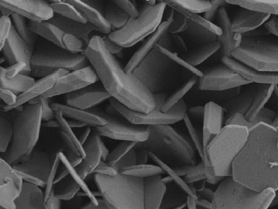 �������X�����⡱����r������