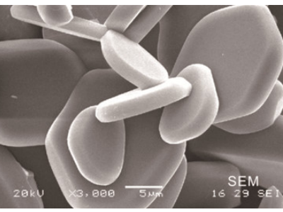 �Ӵa�����X�����R�²ľo׷���a��څ��