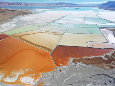 ��������}���f��늳ؼ�̼����ĿͶ�a��