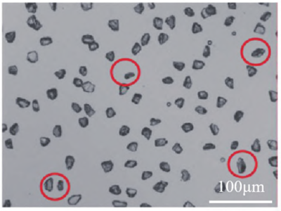 һ��΢С�Ľ���ʯ�ۣ���κ������жࡰ�ԏ�����