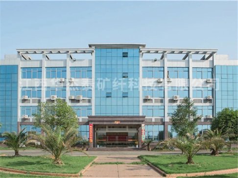 �����A��̩�V�w�Ƽ����޹�˾����ϯ2025IPIE�Ϻ����H�߶˷��w�b���c�ƌW�x��չ�[��