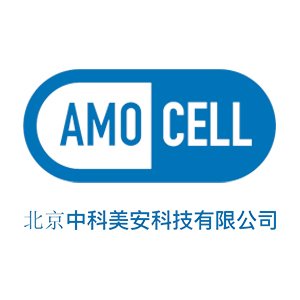 ��չ�����]�������п������Ƽ����޹�˾������ϯ2025�댧(d��o)�w�ИI(y��)�ý���ʯ���ϼ��g(sh��)���(hu��)