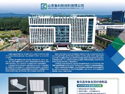 ɽ�|�����²����c��11����s���ݣ�2025�ھŌ�ȫ��ʯӢ�����չ�[����