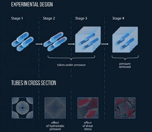 ̼�{�׹��ڳ��߉����«@�øߏ���