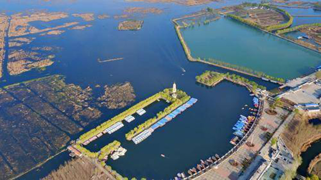 ���h | ���۰��^���M�ճ��������w���ζ෽���棡