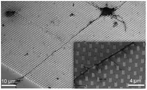 ��Nano Letter���l�������о�����оƬ�Ϙ������X�񽛾W�j