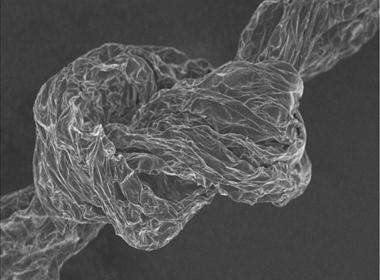 ʯīϩ�w�S�����_��̼�w�S�ĸ߶ȣ�