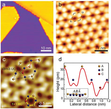 ��Փ�����_(d��)��ʯī����������ϩ����x��늳�ؓ(f��)�O����߀��ɶ��(y��u)��(sh��)