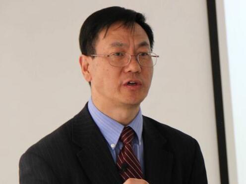 �����������{�׏���������