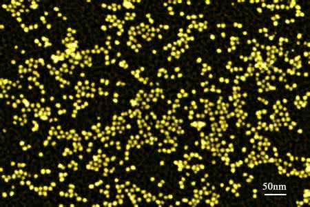 ���ټ{���w���������ǻ��(x��)��