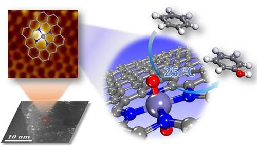 �������ȶ��S�{�ײ����iģȫ���w�������о��@�Mչ