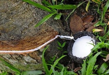 ��Ȼ���z�r���j�����f�y��