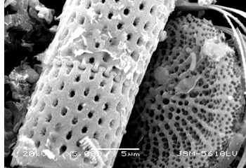 �b����Ⱦ�F����� �������ИI�lչǰ�����