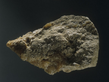 �҇�(gu��)�@�F(xi��n)��8�|���ش��׵V�YԴ