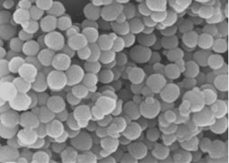 ��ν�Q�w���ĈF�ۆ��}��