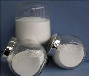 �����{���մ��X�Ͻ����� �����F�a�I��