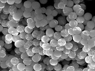 ����ȼú�аl�F�����̓r�{��������w�� �����w����Ӱ��д��u��