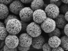 �ƌW�Ұl�F��׷ۙȼú��ӵļ{�׼��w����