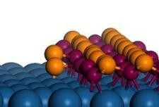 �{���w����׃�ۺ���ͺϲ��ϵİlչ