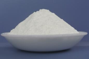 ���˽���w������c�ѷe���Ԇ᣿