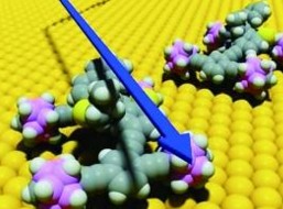 �Ї��ѳɼ{�׿��Џ���