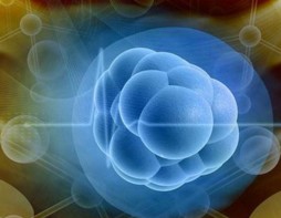 �m����������2021���²��Ϯa�I�aֵͻ��1000�|Ԫ