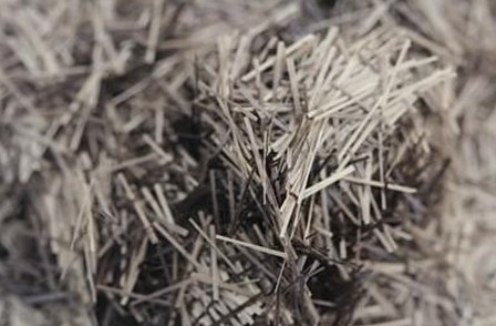 �½���������(d��o)�����r�w�S�����Ƃ��c��(y��ng)���о�ȡ���M(j��n)չ