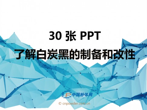 30�PPT�˽��̿�ڵ��Ƃ�͸���