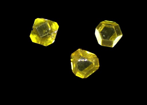 �x˼�����������Č��Ї������ݣ�ĥ��ĥ��չ�[����