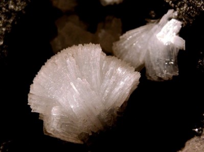 ����������ʯīϩ���M�߷�ɢ���ྦྷ���ʯ���w�ϳ��о�ȡ���Mչ