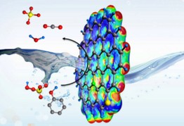 �п�Ժ���ҳɹ�����ʯīϩ���������¡�