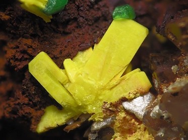 �Ї�♵V֮����������