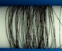 �Ї�ʯīϩ�����w�S�������˳���