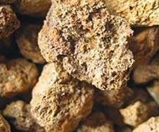 ϡ���Ј��r��څ�� ϡ���Ճ����؆�