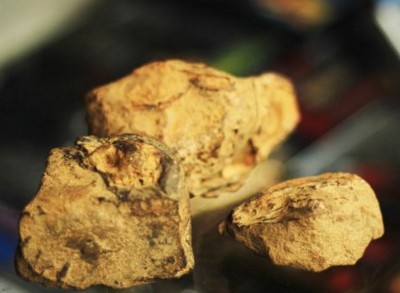 Ԓ�f��������~���ʯ