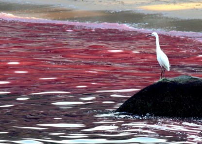 �Ї��ƌW���øߎX���ȸ���ճ�����˳ೱ